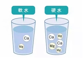 文章题图