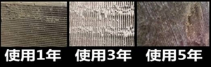 文章题图