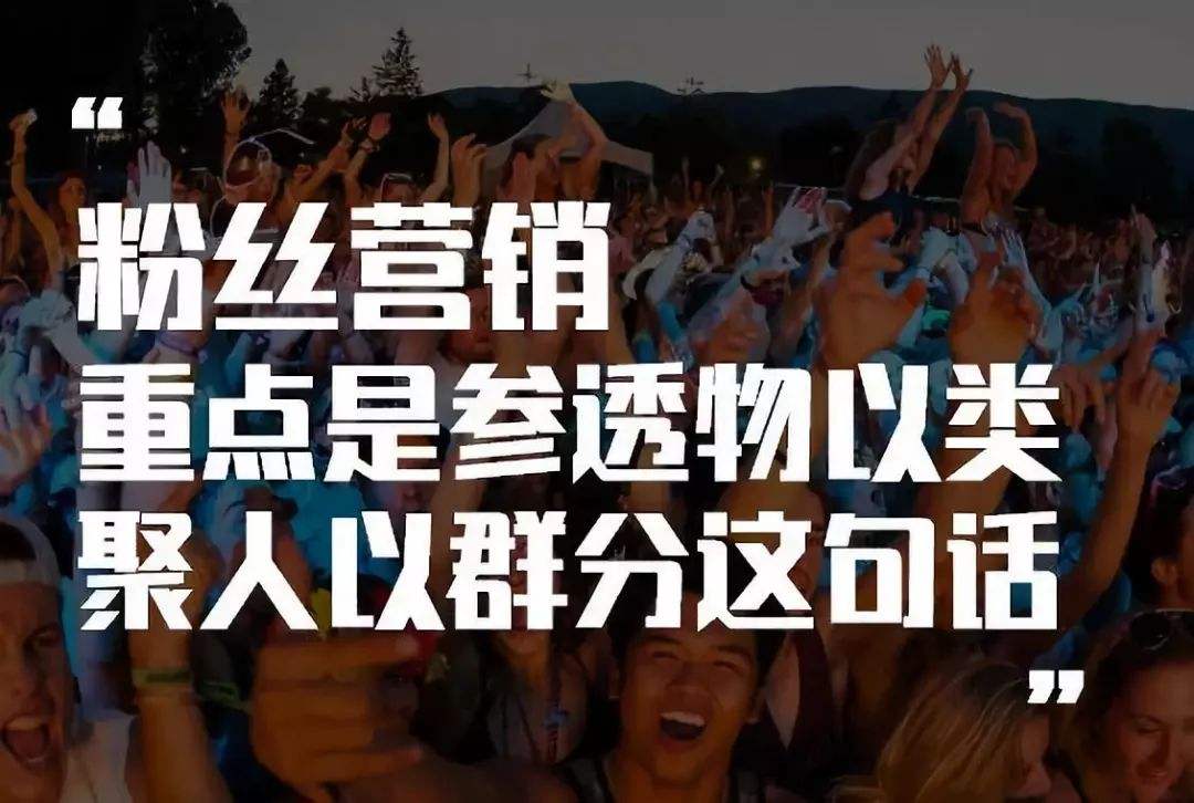 粉丝.jpg
