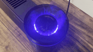 篝火展示 (1).gif