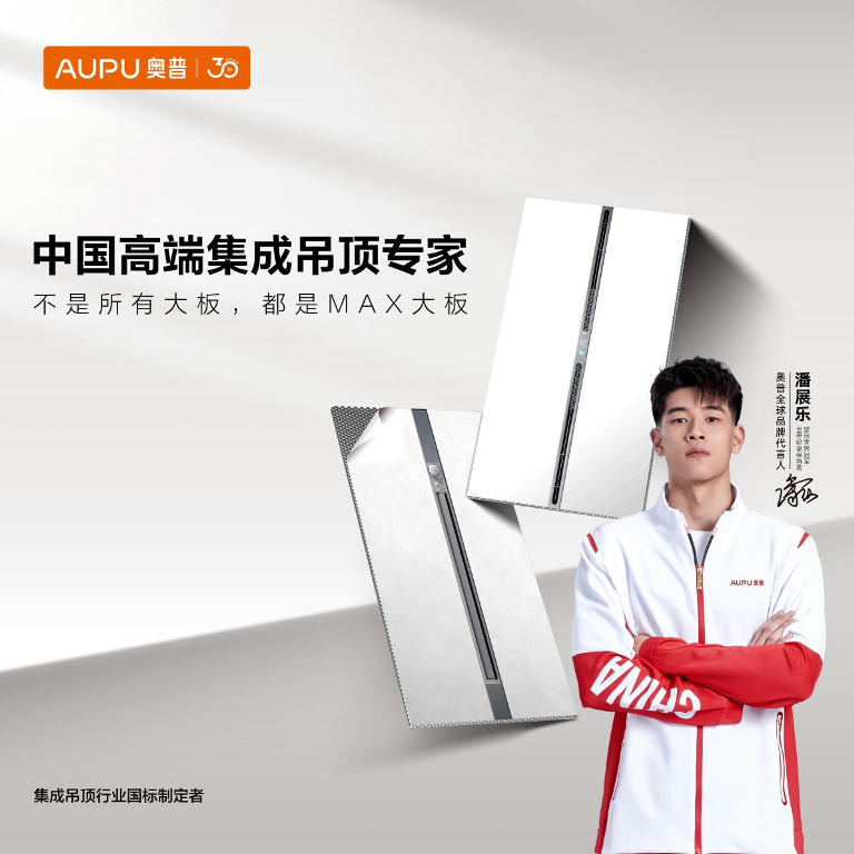 中国集成吊顶专家.png